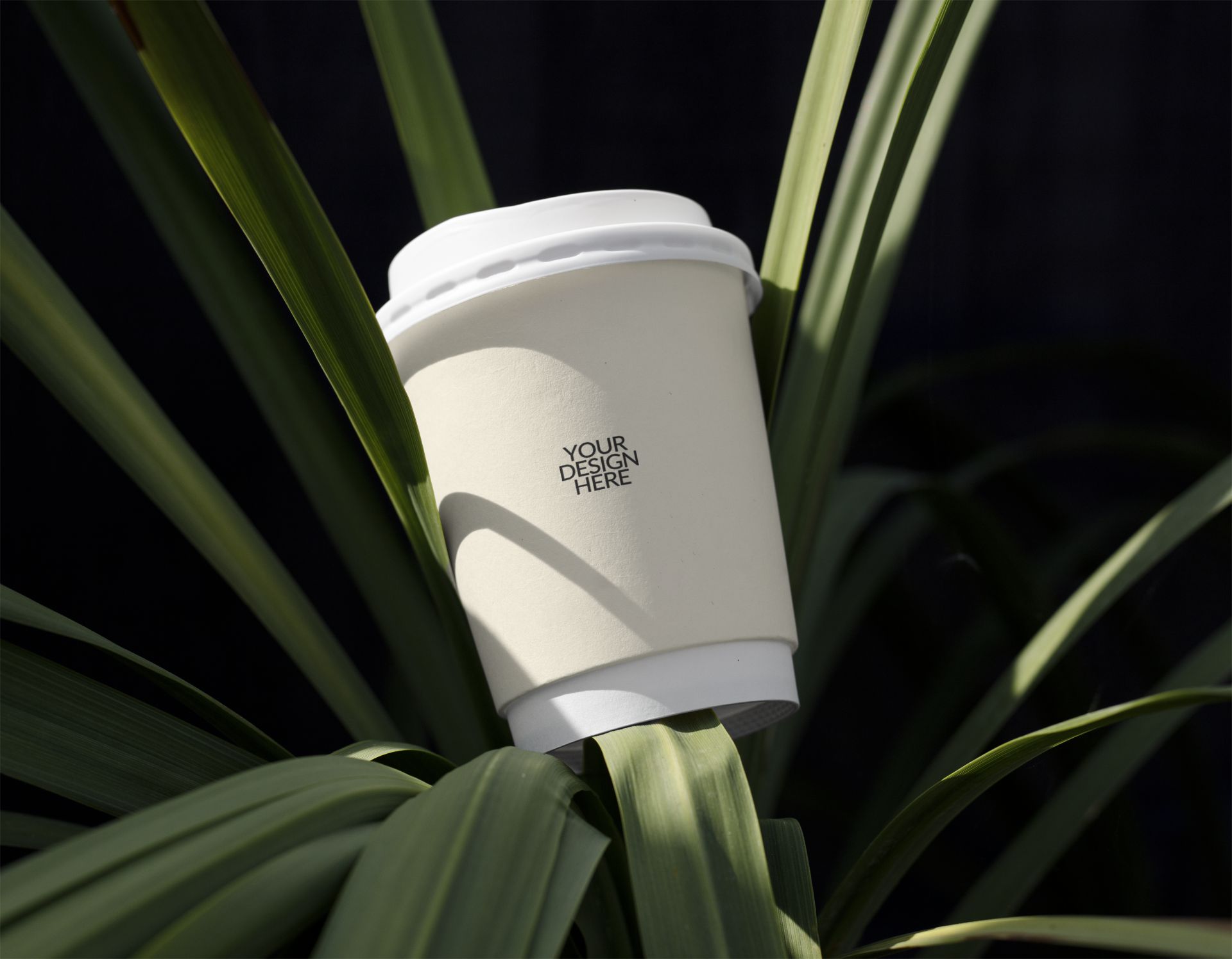 【全链路茶叶包装】27款高端茶叶品牌PS样机素材合集（礼盒/茶壶/手提袋/纸杯/VI贴图）