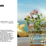 Adobe Lightroom Classic 2026 v15.0 ：AI驱动的摄影后期新纪元|附安装破解教程