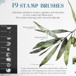 Procreate终极水彩工具包：逼真水痕晕染笔刷+背景纸纹+色卡，一套搞定数字水彩创作！