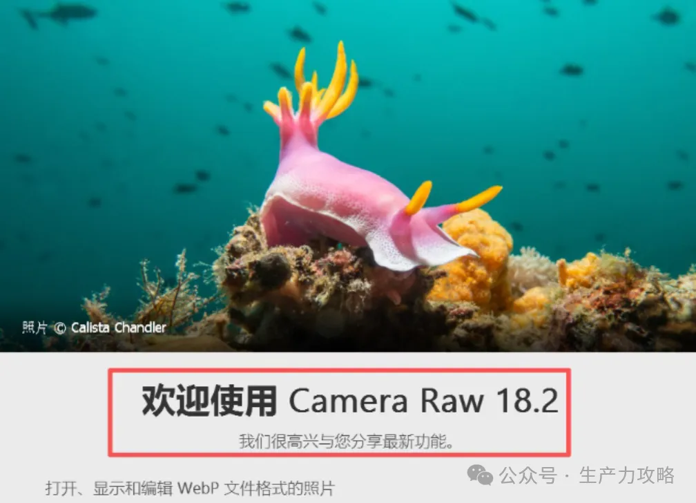 Adobe Camera Raw 18.2 新版发布：WebP原生支持+AI协同编辑，摄影师效率再升级！