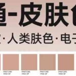 潘通肤色指南STG202：138种人类皮肤色彩电子色卡+美容较色SP对照表PDF