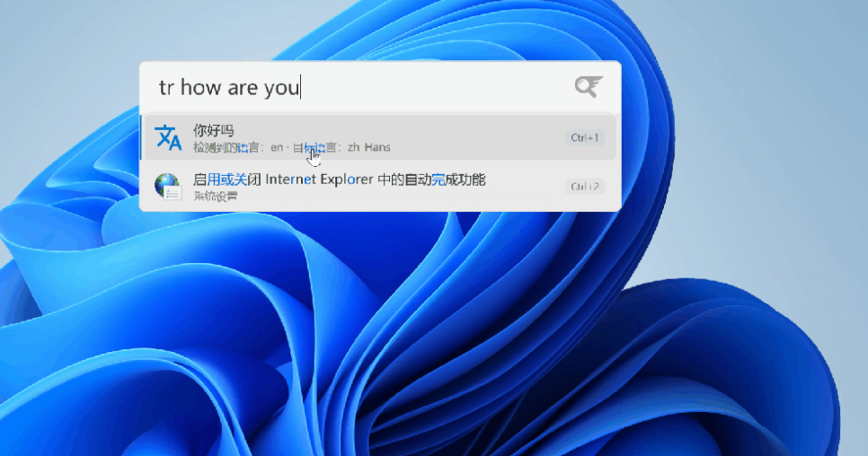Lertaro 翻译插件 tr 搜索示例
